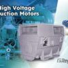 CACA High Voltage AC Induction Motors