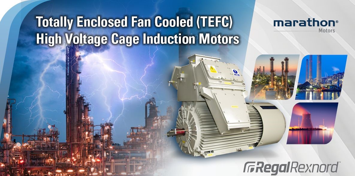 Totally Enclosed Fan Cooled (TEFC) High Voltage Cage Induction Motors